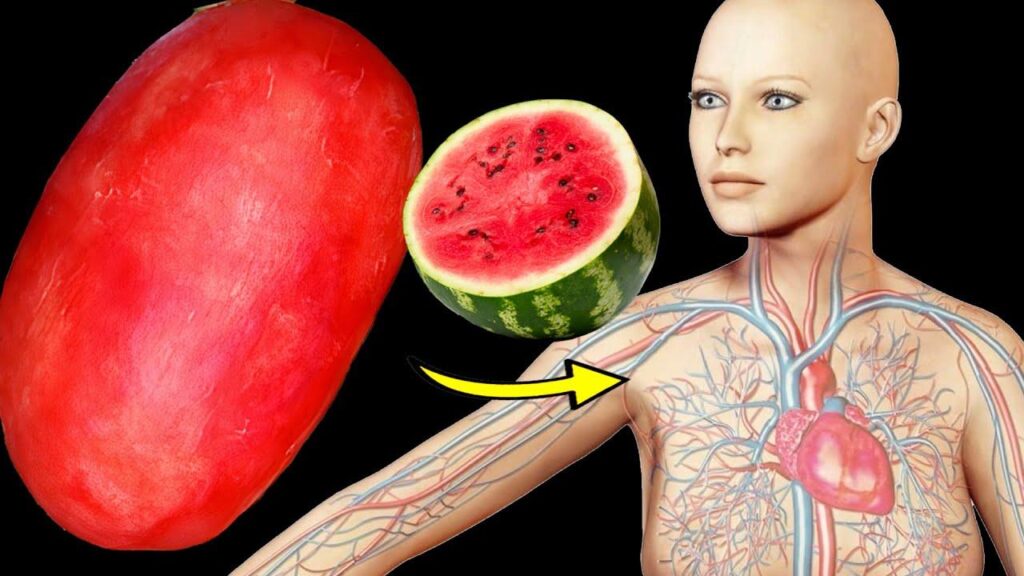 The Juicy Truth: Effects of Daily Watermelon Consumption