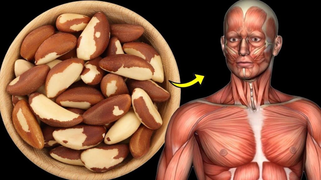 The Nutty Truth: Effects of Daily Brazil Nut Consumption