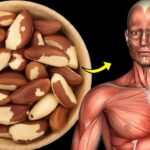 The Nutty Truth: Effects of Daily Brazil Nut Consumption