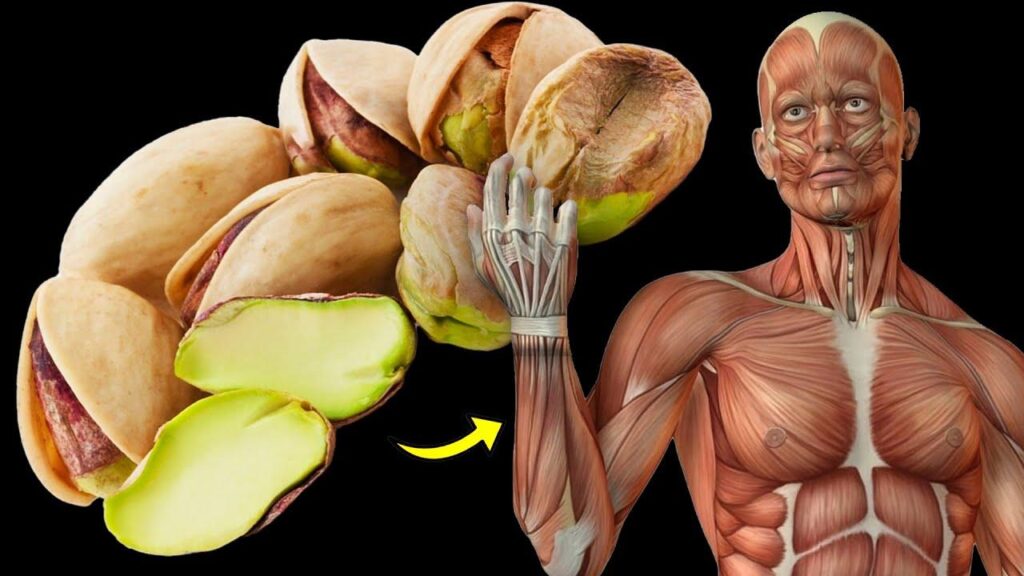 The Power of Pistachios: Daily Consumption and Your Body