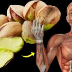 The Power of Pistachios: Daily Consumption and Your Body