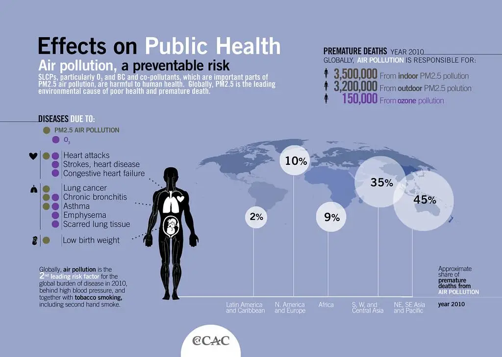 Promoting Access to Healthcare Services for Underserved Populations