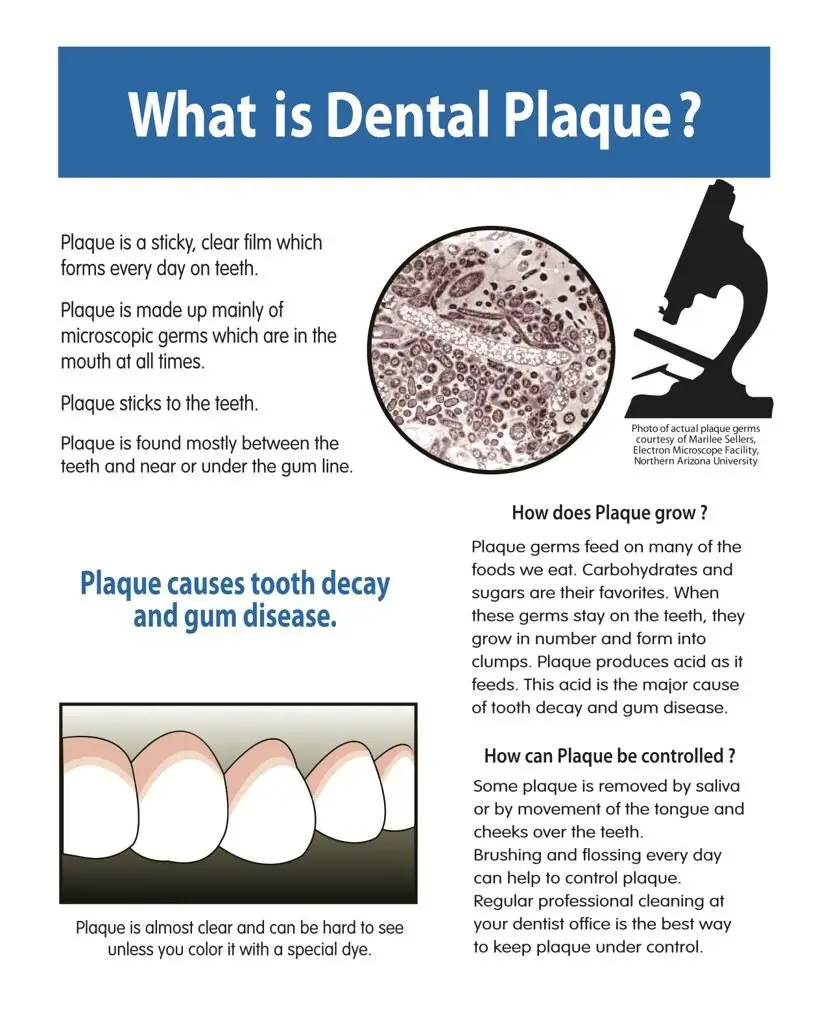 1. Healthy teeth <br />
2. Gums <br />
3. Maintaining <br />
4. Essential Tips <br />
5. Teeth‌ and Gums <br />
6. Dental Care <br />
7. Oral Health”></p>
<h2>– What are some natural remedies for gum inflammation and ‌pain</h2>
<h1>7 Essential Tips for Maintaining Healthy Teeth and Gums</h1>
<p></p>
<p></p>
<p>Having healthy teeth and gums ‍is <a href=