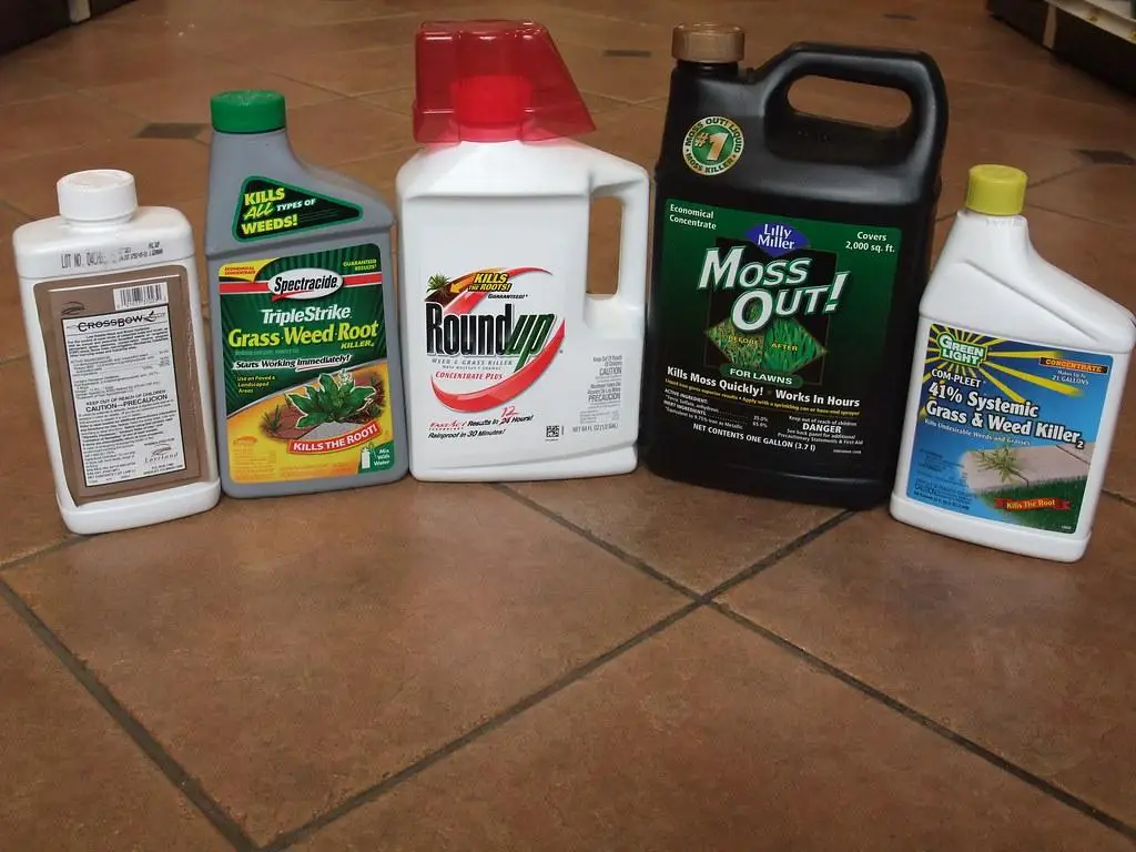 The Lowdown on Herbicides and Your Health