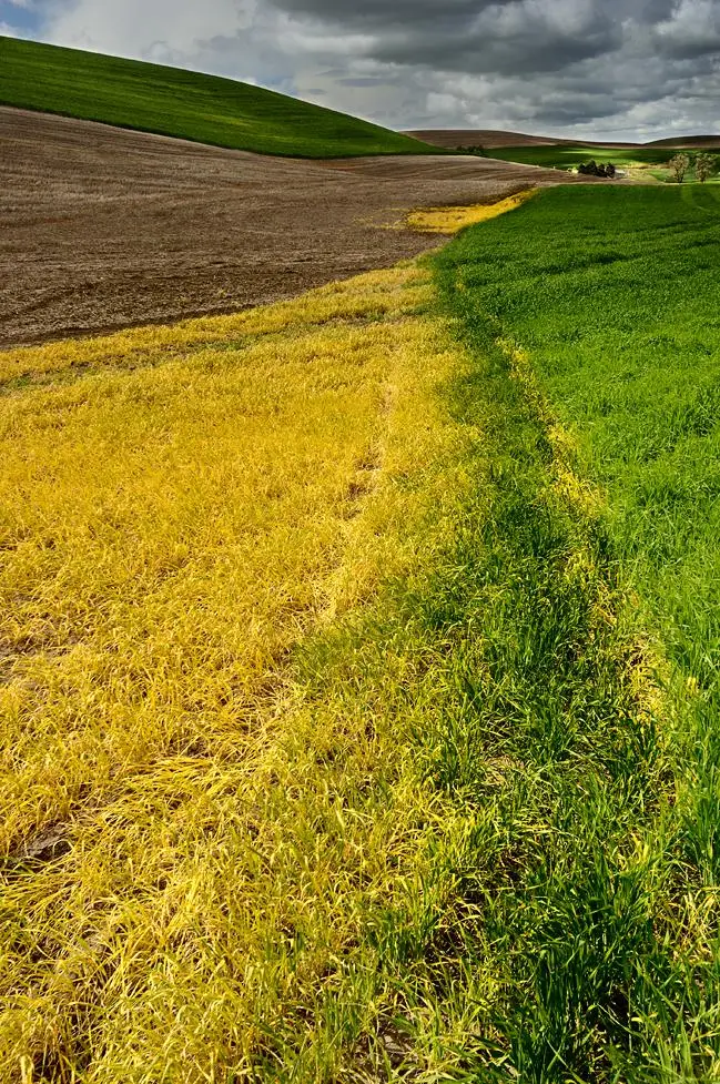 Understanding the Correlation Between ⁣Diet and Herbicide Exposure