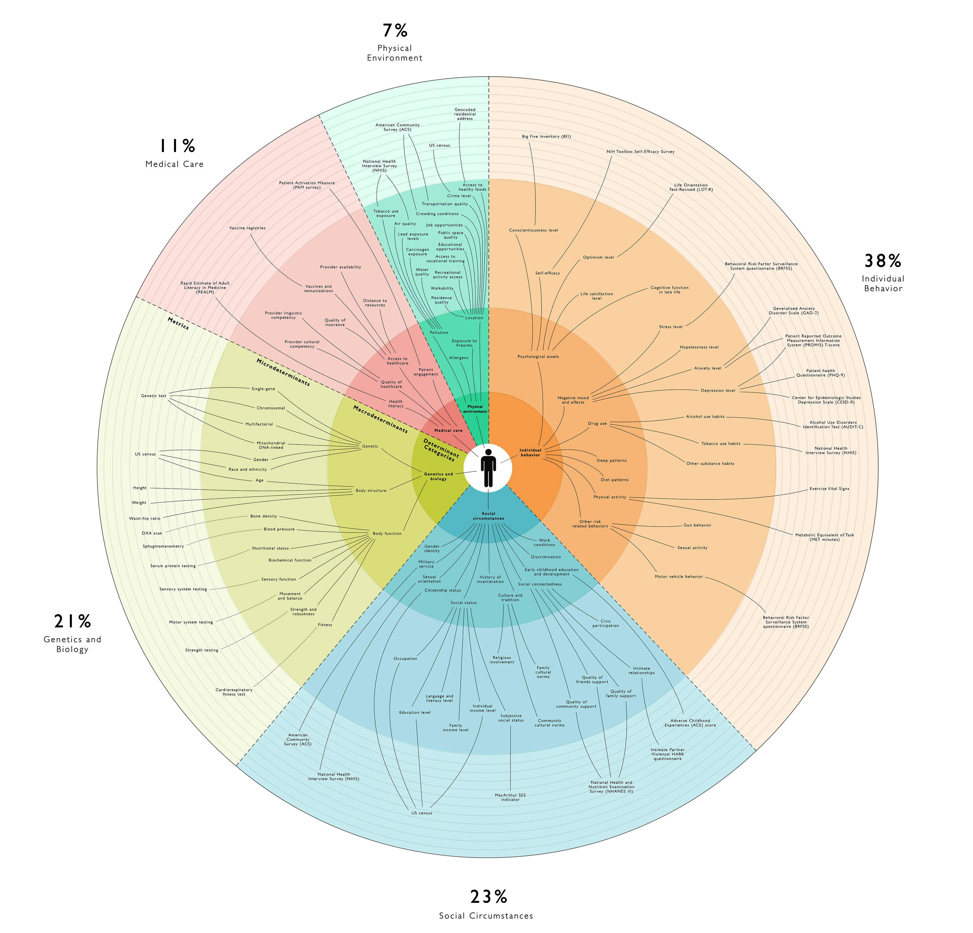 Understanding the Impact of Socioeconomic Status on Health Outcomes