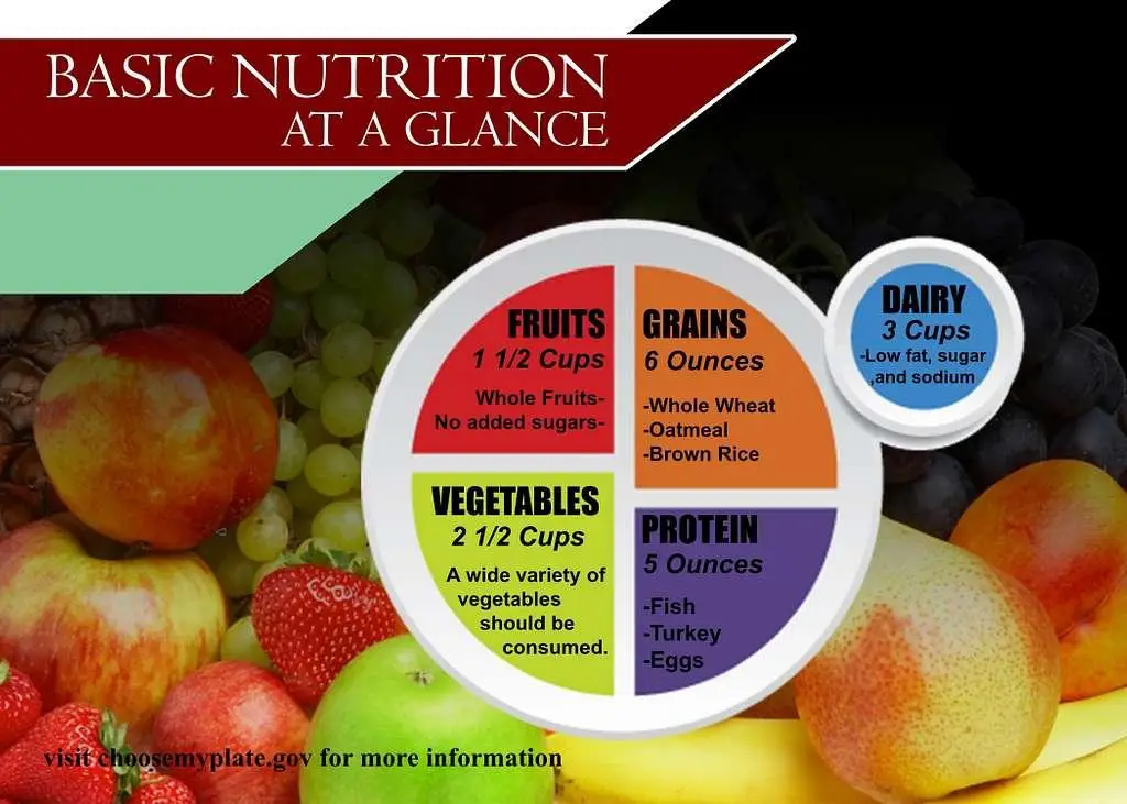 Exploring the Benefits of Nutrition Workshops