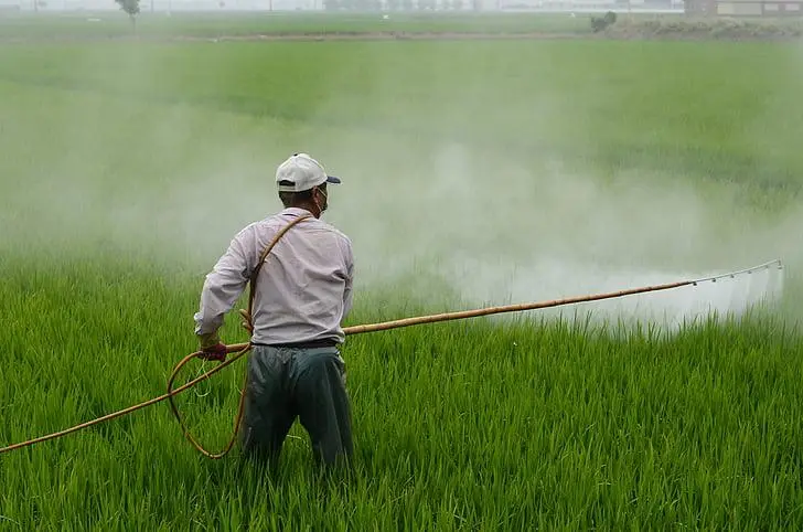 The Impact of Herbicides on Human Health