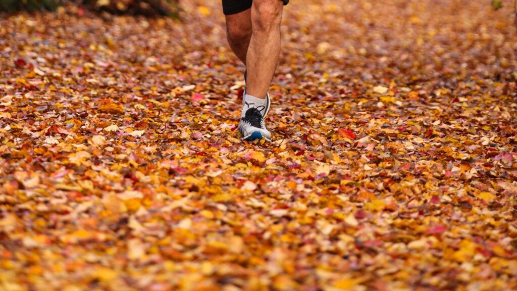 Elevate Your Cardio: Experience Enhanced Performance with a NordicTrack Treadmill