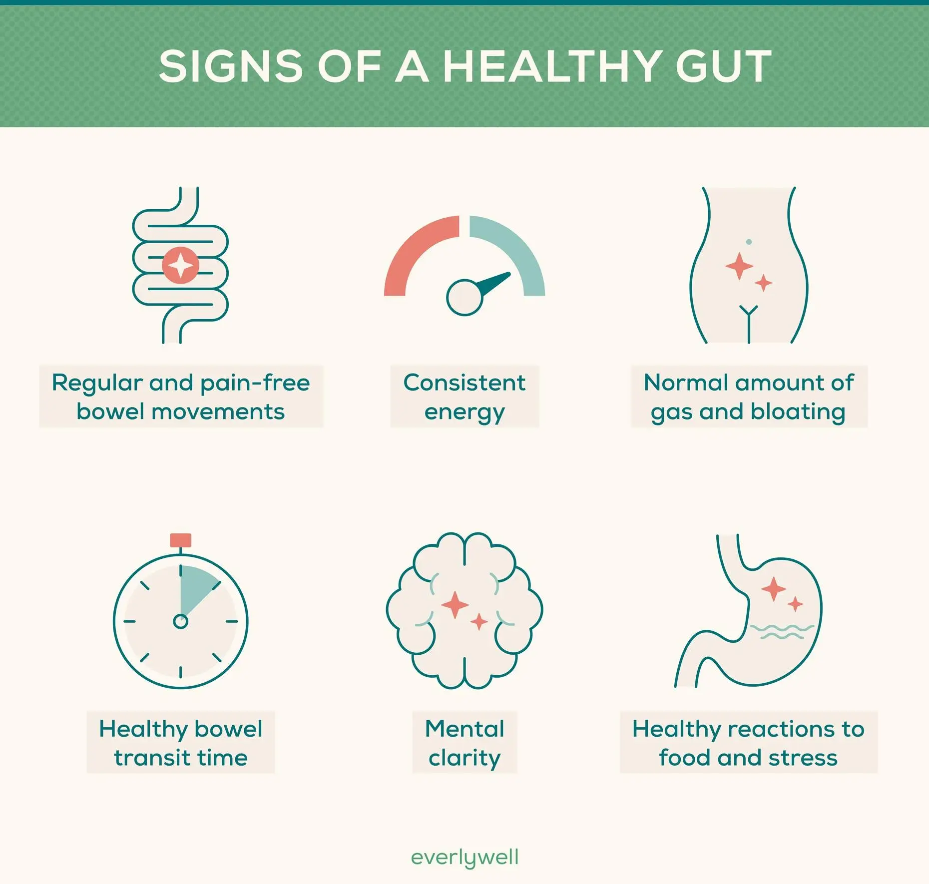 Understanding the Gut Microbiome: Key Players in Digestive Health