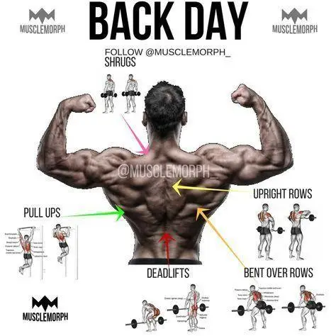 Tailoring Your Back Day Workout: ​Customizing Exercises for Maximum‍ Results