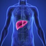 Liver Health: Essential Tips for Optimal Function