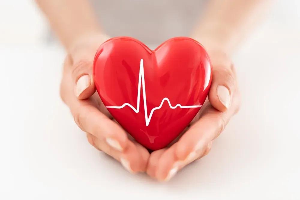 Heart Health Matters: Simple Steps to Maintain a Healthy Heart