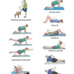 Back to Basics: Master Effective Back Exercises at the Gym