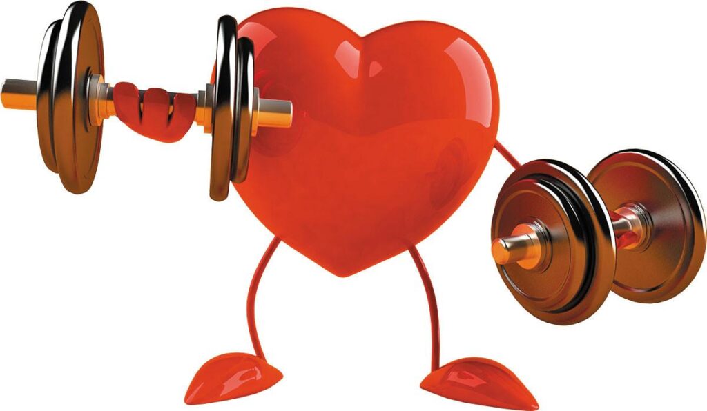 Heart Health Handbook: Tips for a Stronger Cardiovascular System