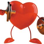 Heart Health Handbook: Tips for a Stronger Cardiovascular System