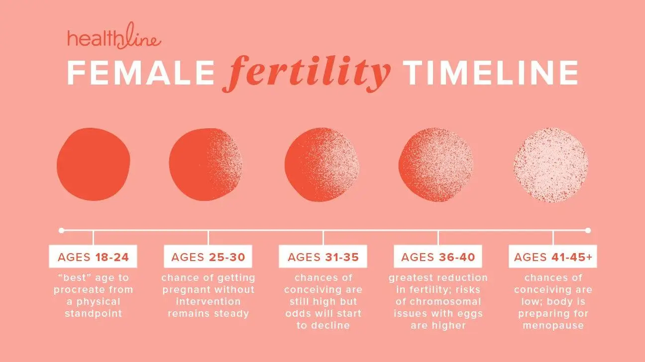 Understanding the ​Variability of Ovarian Reserve