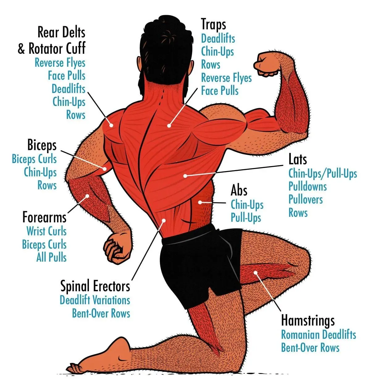 Incorporating ‌Proper Recovery Techniques for Optimal Back​ Day Performance