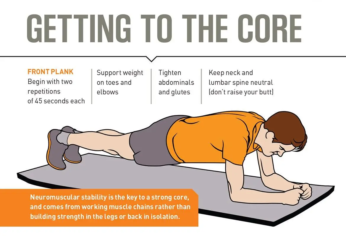 Incorporating Stability Training ‌for a Well-Rounded Core Routine