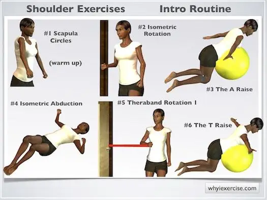 Shoulder Strength: Elevate Your Upper ⁢Body with Seated Dumbbell Shoulder⁢ Press